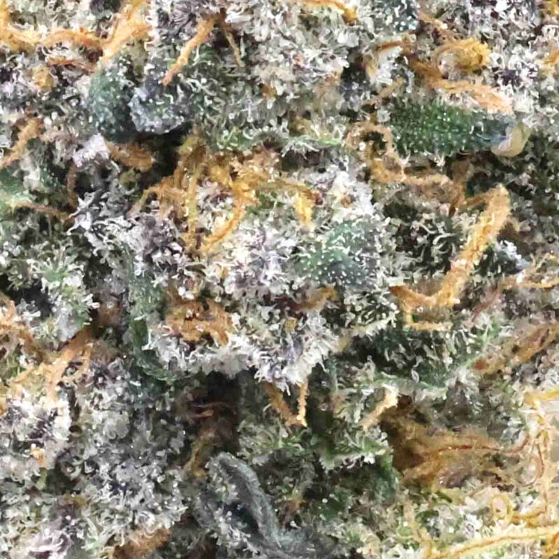 Candy Cake | Cannabis Strain | Gizmo Selection | Gizmo crafts