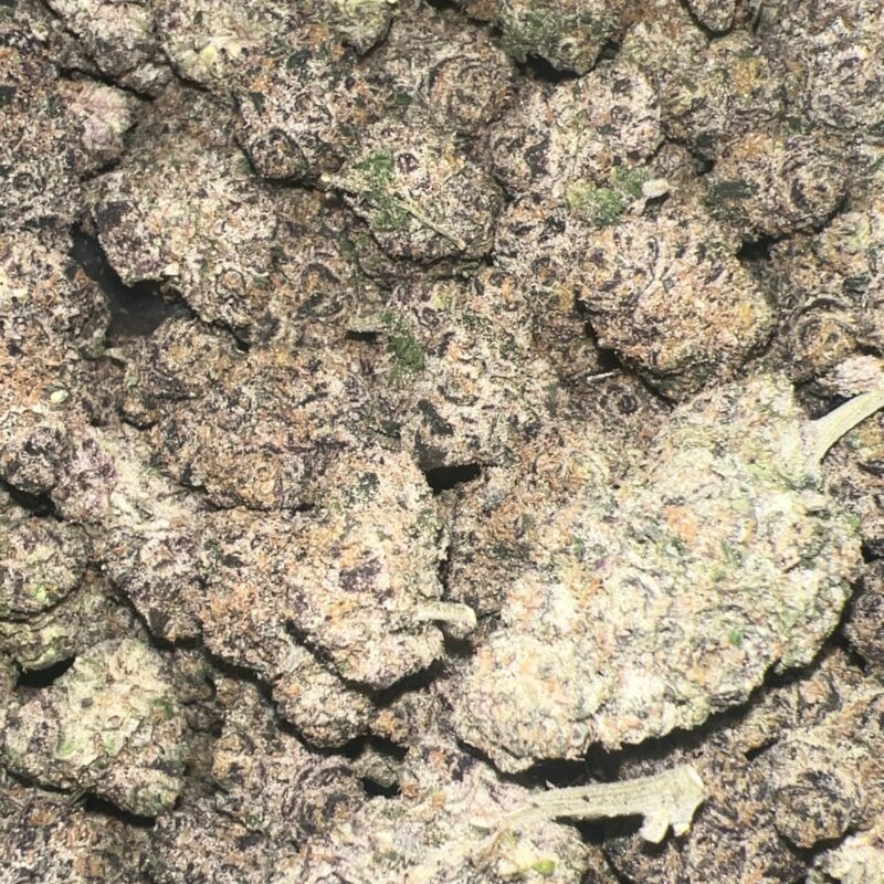 Candy Cream | Cannabis Strain | Gizmo Selection | Gizmo crafts