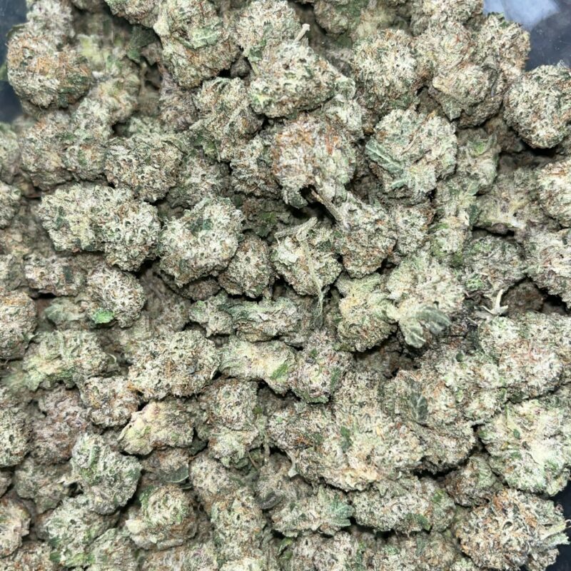 Dank Schrader | Cannabis Strain | Gizmo Selection | Gizmo crafts