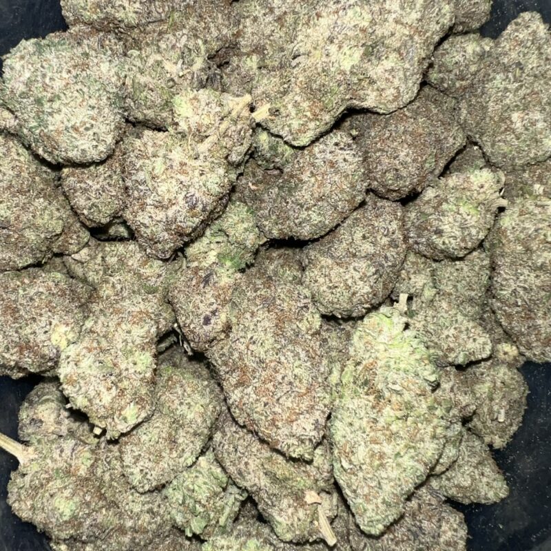 Grape Pie | Cannabis Strain | Gizmo Selection | Gizmo crafts