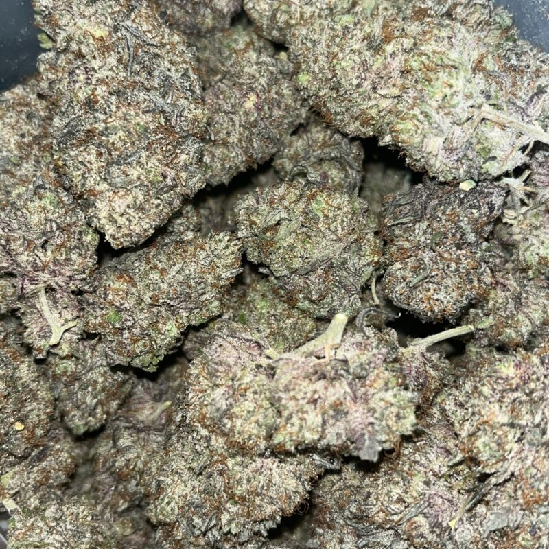 Jet Fuel Gelato | Cannabis Strain | Gizmo Selection | Gizmo crafts