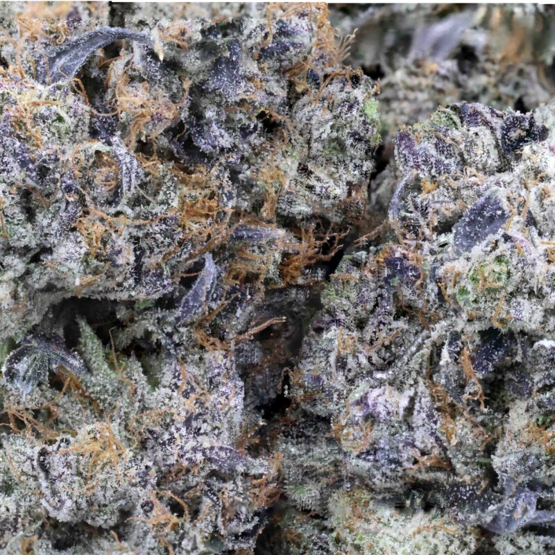 Mike Tyson | Cannabis Strain | Gizmo Selection | Gizmo crafts