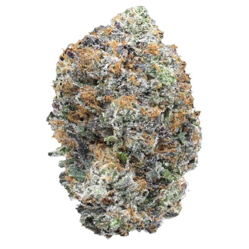 Organic Purp | Cannabis Strain | Gizmo Selection | Gizmo crafts