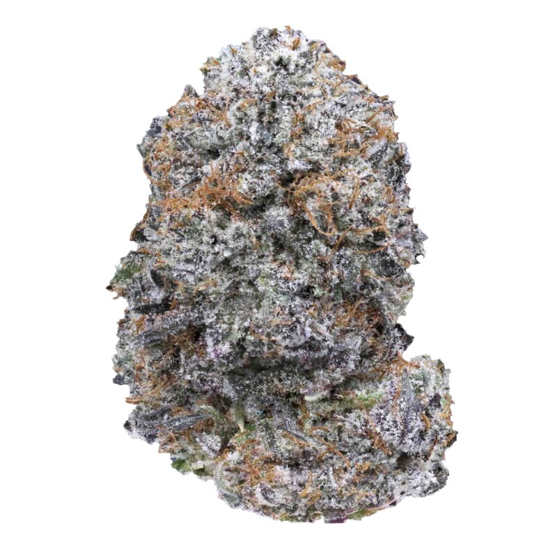 Jet Fuel Gelato | Cannabis Strain | Gizmo Selection | Gizmo crafts