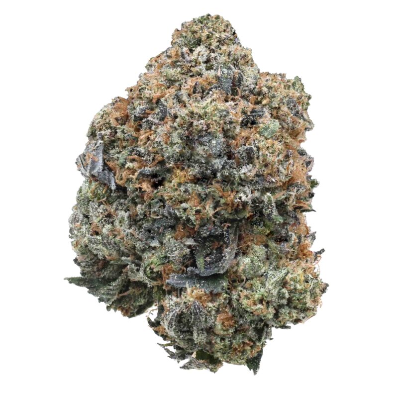 Rockstar Tuna | Cannabis Strain | Gizmo Selection | Gizmo crafts