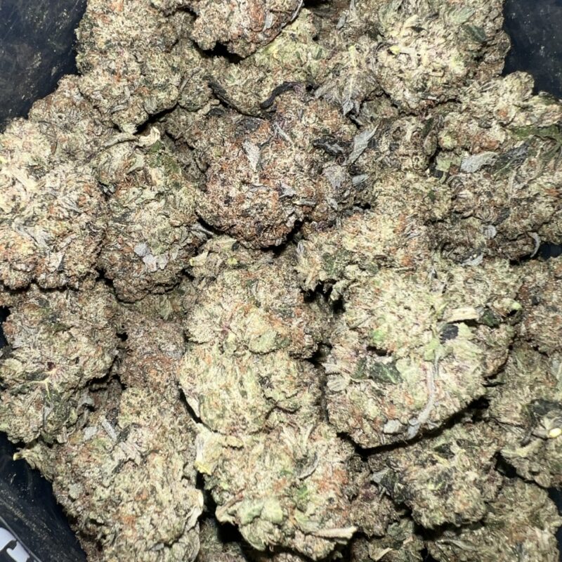 Rockstar Tuna | Cannabis Strain | Gizmo Selection | Gizmo crafts