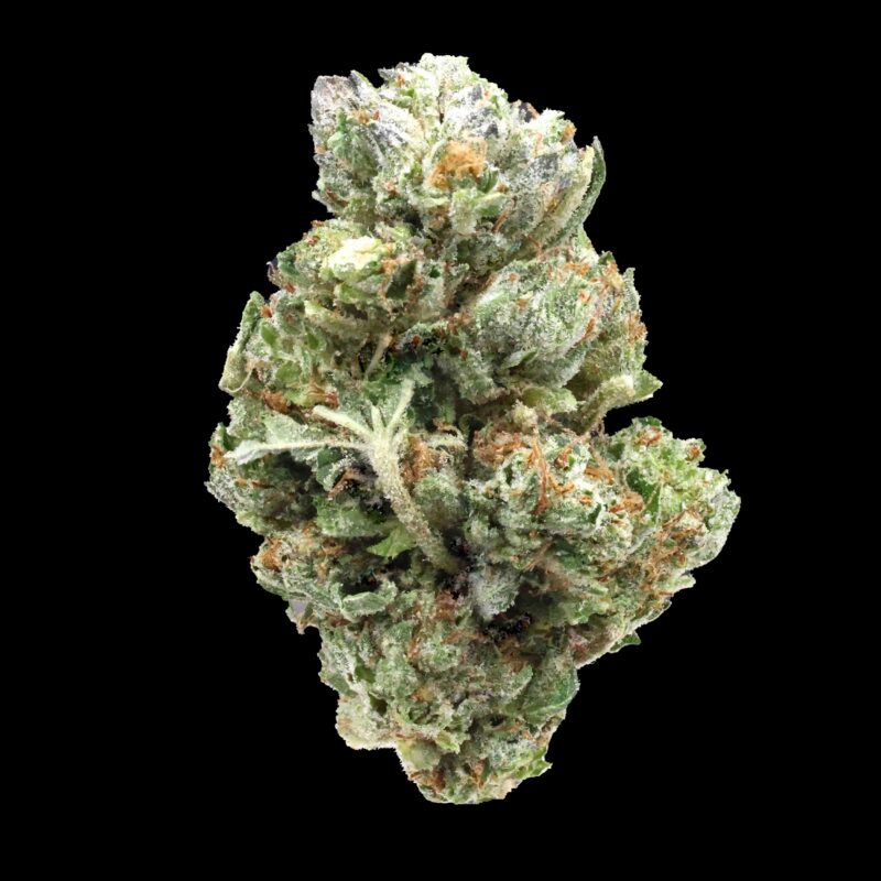 XXX Bubba AAAA ** Blow Out Sale** No Discount