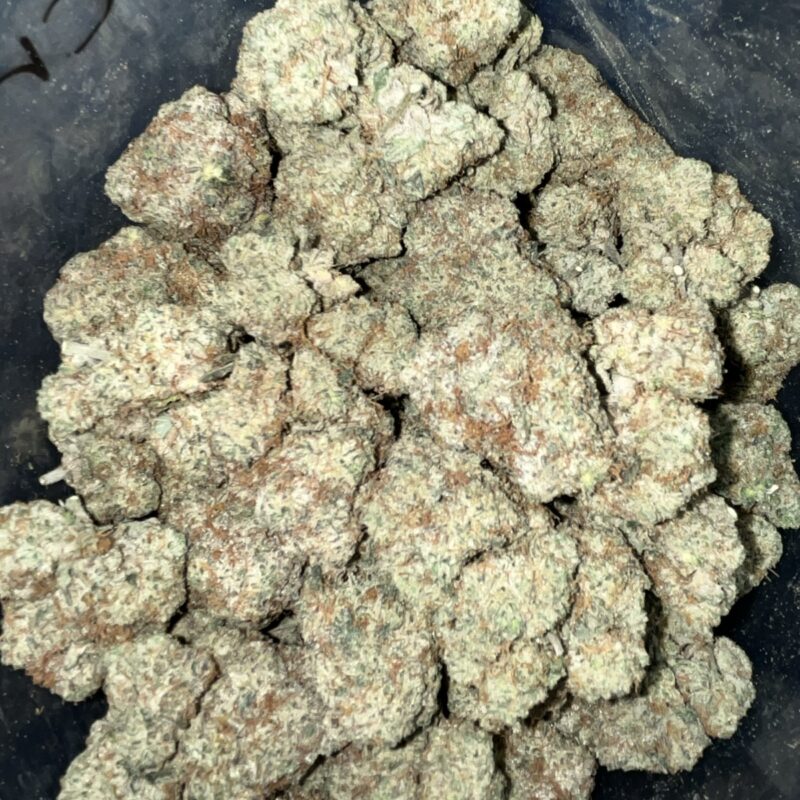 Cream Pie | Cannabis Strain | Gizmo Selection | Gizmo crafts