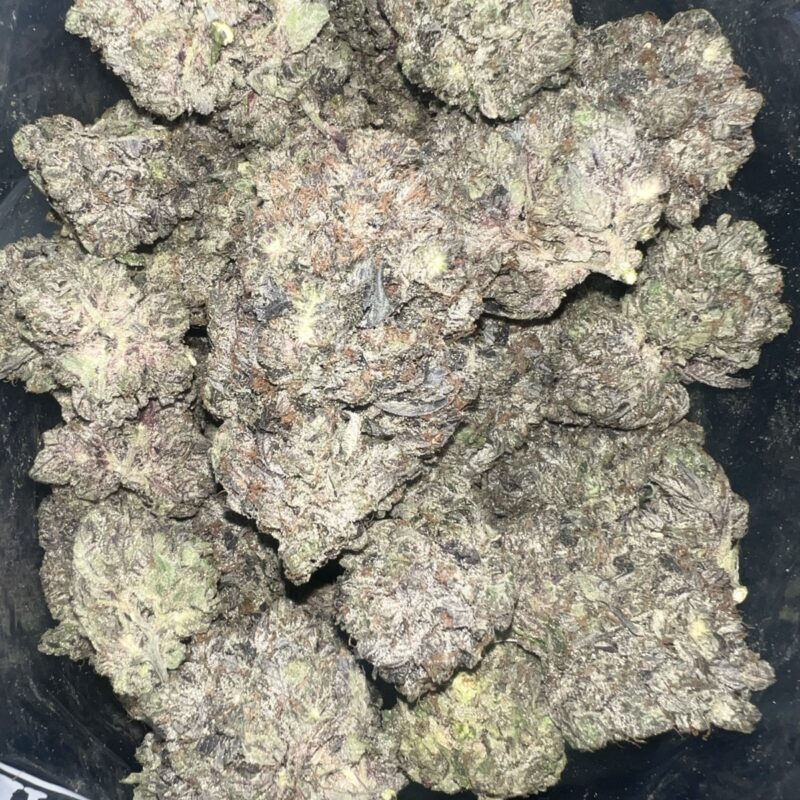 Dank Schrader | Cannabis Strain | Gizmo Selection | Gizmo crafts