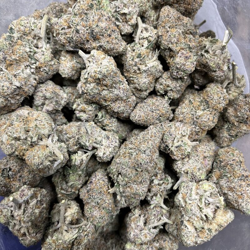 Frozen Gelato | Cannabis Strain | Gizmo Selection | Gizmo crafts