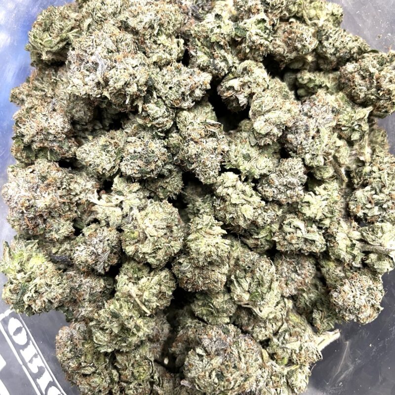 Astro Pink | Cannabis Strain | Gizmo Selection | Gizmo crafts