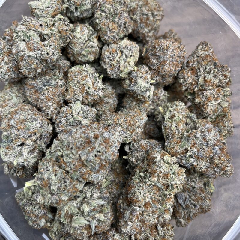 Miami Madness | Cannabis Strain | Gizmo Selection | Gizmo crafts