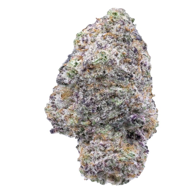 Purple Ak-47 | Cannabis Strain | Gizmo Selection | Gizmo crafts