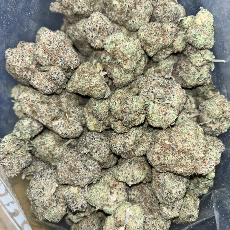 Space Jogger | Cannabis Strain | Gizmo Selection | Gizmo crafts