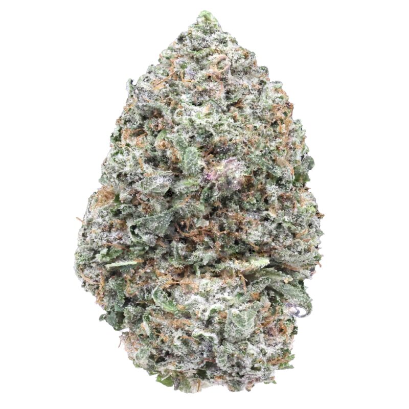 Captain’s Pink | Cannabis Strain | Gizmo Selection | Gizmo crafts