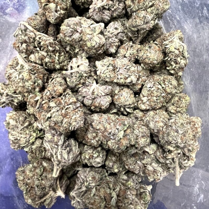 Gastro Pop | Cannabis Strain | Gizmo Selection | Gizmo crafts