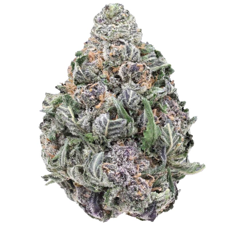 Candy Pineapple | Cannabis Strain | Gizmo Selection | Gizmo crafts